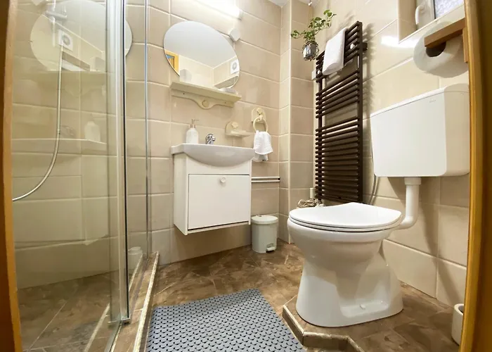 Piata Sfatului Brassai Apartment *